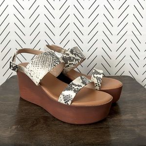 Steve Madden Snake-print Wedges